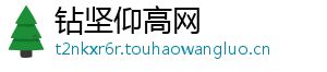 钻坚仰高网